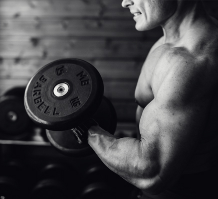 Fitness Website Template